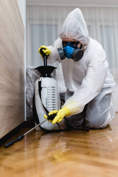 Best Bed Bug Extermination  in Firthcliffe, NY